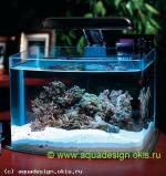 Нано аквариум в морском стиле