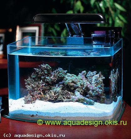 http://www.aquadesign.okis.ru/foto/aquadesign/87.jpg